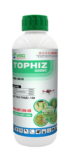 Tophiz lít